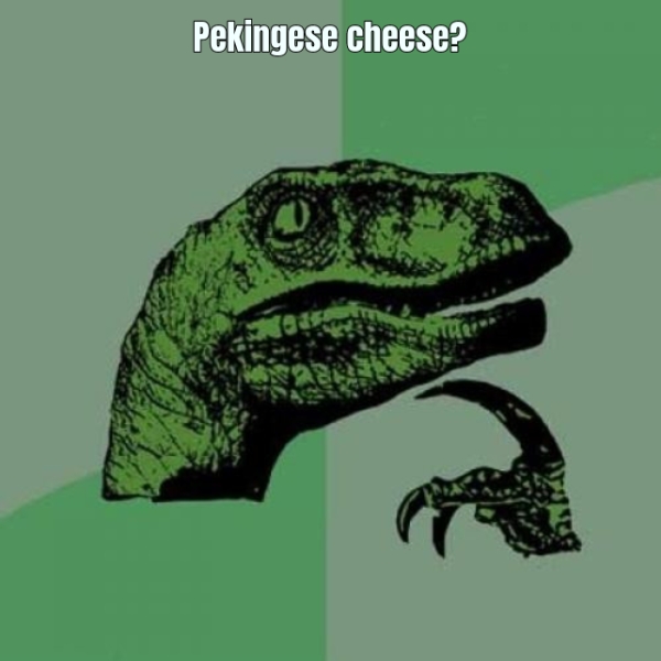 Pekingese cheese?